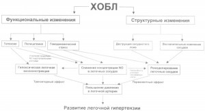 РаО2 определяют РаО2 определяют